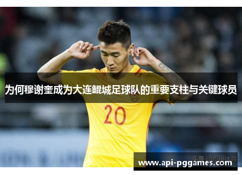 为何穆谢奎成为大连鲲城足球队的重要支柱与关键球员