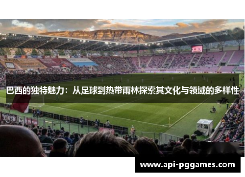 巴西的独特魅力：从足球到热带雨林探索其文化与领域的多样性