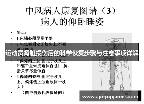 运动员肾脏损伤后的科学恢复步骤与注意事项详解