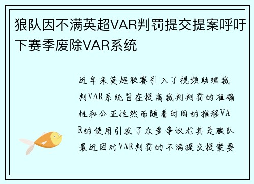 狼队因不满英超VAR判罚提交提案呼吁下赛季废除VAR系统
